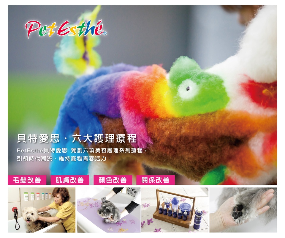 染色即護髮：Pet Esthé 比比多彩色系列 (Vivid Color)