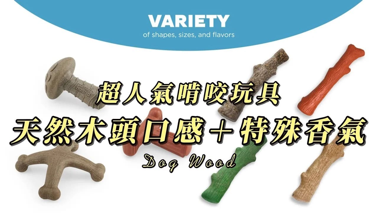 原始本能的「安全」轉譯：史迪克 (Dogwood) 的產品哲學