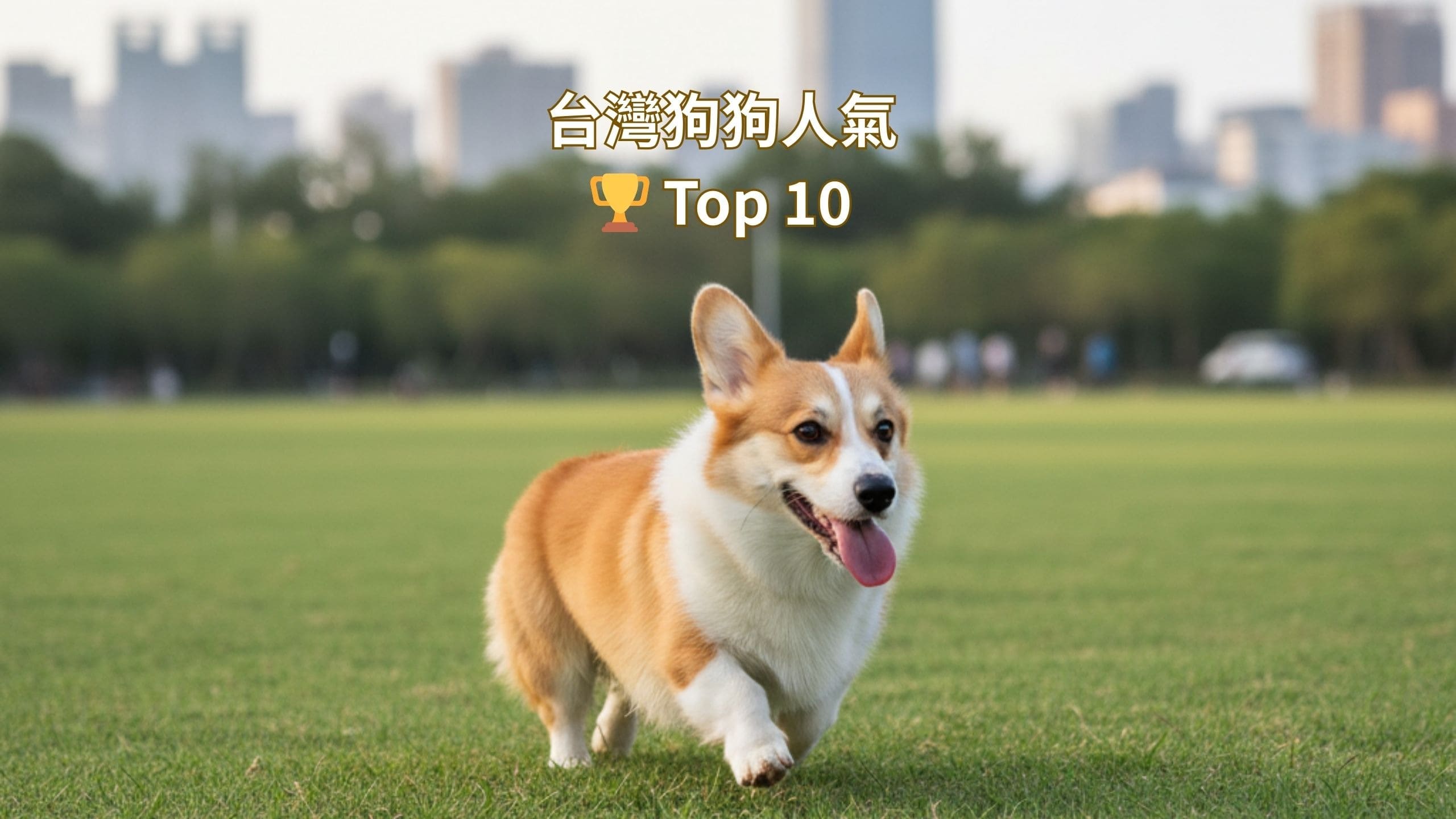 誰是台灣狗界人氣王？2025 年度十大熱門犬種揭曉